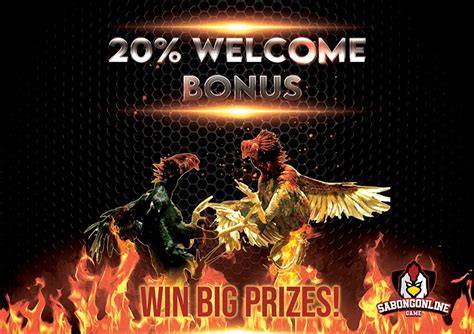 wpc2039.live / gcash pitmaster live login|Easy Access With Pitmaster Live Gcash App.